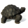 Seestern Homedeko Schildkröte Turtle Garten Statue Figur Skulptur 45 cm Steinguß für innen & außen /2480