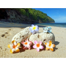 Seestern Sportswear Bali Hawaii Haarklammer 2 Frangipani Blüten, Haarspange