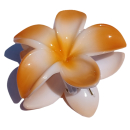 Seestern Sportswear Bali Hawaii Haarklammer 2 Frangipani Blüten, Haarspange