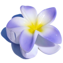 Seestern Sportswear Bali Hawaii Haarklammer 2 Frangipani Blüten, Haarspange