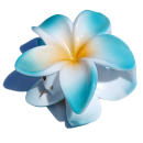 Seestern Sportswear Bali Hawaii Haarklammer 2 Frangipani Blüten, Haarspange
