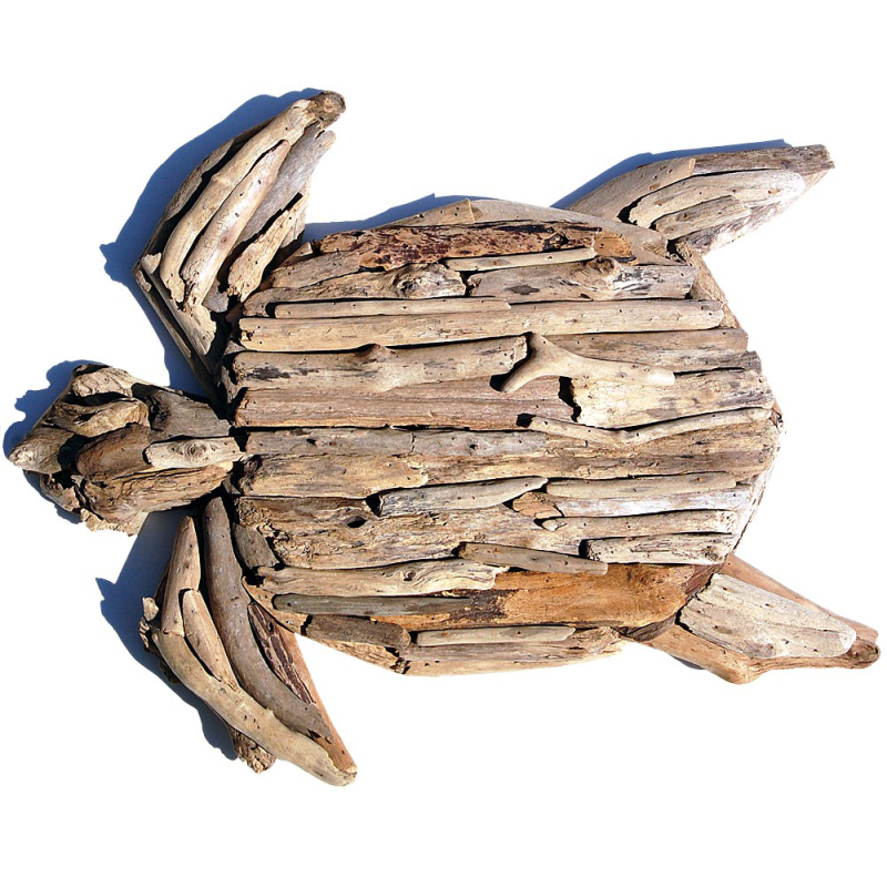 SEESTERN Treibholz Deko m. Schildkröte (70 cm) Motiv Wanddeko Dr