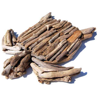 SEESTERN Treibholz Deko m. Schildkrte (55 cm) Motiv Wanddeko Driftwood Holzdeko /1324