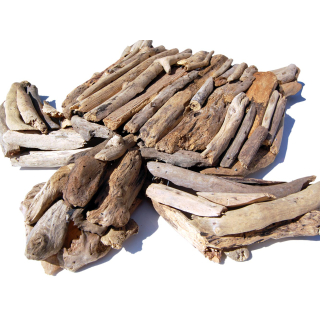 SEESTERN Treibholz Deko m. Schildkrte (55 cm) Motiv Wanddeko Driftwood Holzdeko /1324