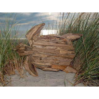 SEESTERN Treibholz Deko m. Schildkrte (55 cm) Motiv Wanddeko Driftwood Holzdeko /1324