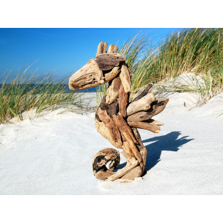 SEESTERN Treibholz Deko m. Seepferdchen (33cm) Motiv Wanddeko Driftwood Holzdeko /1326