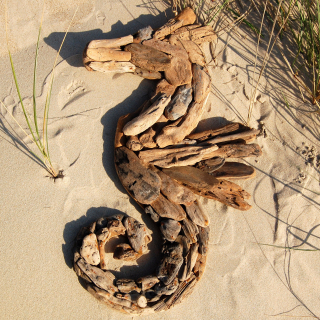 SEESTERN Treibholz Deko m. Seepferdchen (60cm) Motiv Wanddeko Driftwood Holzdeko /1325