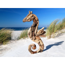 Seestern Sportswear Treibholz Deko m. Seepferdchen (60cm) Motiv Wanddeko Driftwood Holzdeko /1325