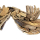 Seestern Sportswear Treibholz Deko m. Seepferdchen (60cm) Motiv Wanddeko Driftwood Holzdeko /1325