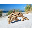 Seestern Sportswear Treibholz Deko mit Delphin ( 33 cm )...