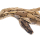 Seestern Sportswear Treibholz Deko mit Delphin ( 60 cm ) Motiv Wanddeko Driftwood Holzdeko /1322