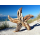 SEESTERN Treibholz Deko mit Seestern ( 30 cm ) Motiv Wanddeko Driftwood Holzdeko /1328