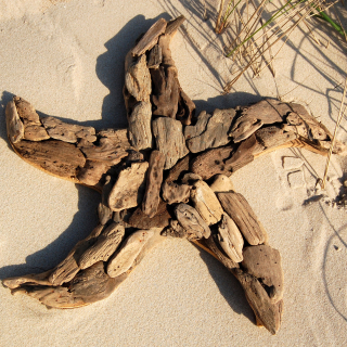 SEESTERN Treibholz Deko mit Seestern ( 40 cm ) Motiv Wanddeko Driftwood Holzdeko /1327