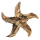 SEESTERN Treibholz Deko mit Seestern ( 40 cm ) Motiv Wanddeko Driftwood Holzdeko /1327
