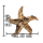 SEESTERN Treibholz Deko mit Seestern ( 40 cm ) Motiv Wanddeko Driftwood Holzdeko /1327