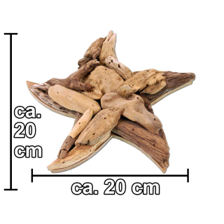 SEESTERN Treibholz Deko mit Seestern ( 20 cm ) Motiv Wanddeko Driftwood Holzdeko /1433