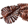 SEESTERN Tropische Blätter _2  Wand Metal Deko Wandbild Wandrelief 115x55 cm /1674