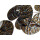 SEESTERN Tropische Blätter_3 Wand Metal Deko Wandbild Wandrelief 115x55cm /1676