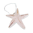 Seestern Weihnachtsbaum Christbaum Schmuck Weihnachtsdeko Surfing Xmas /1403