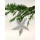 Seestern Weihnachtsbaum Christbaum Schmuck Weihnachtsdeko Surfing Xmas /1403