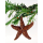 Seestern Weihnachtsbaum Christbaum Schmuck Weihnachtsdeko Surfing Xmas Surfen 1 Stück